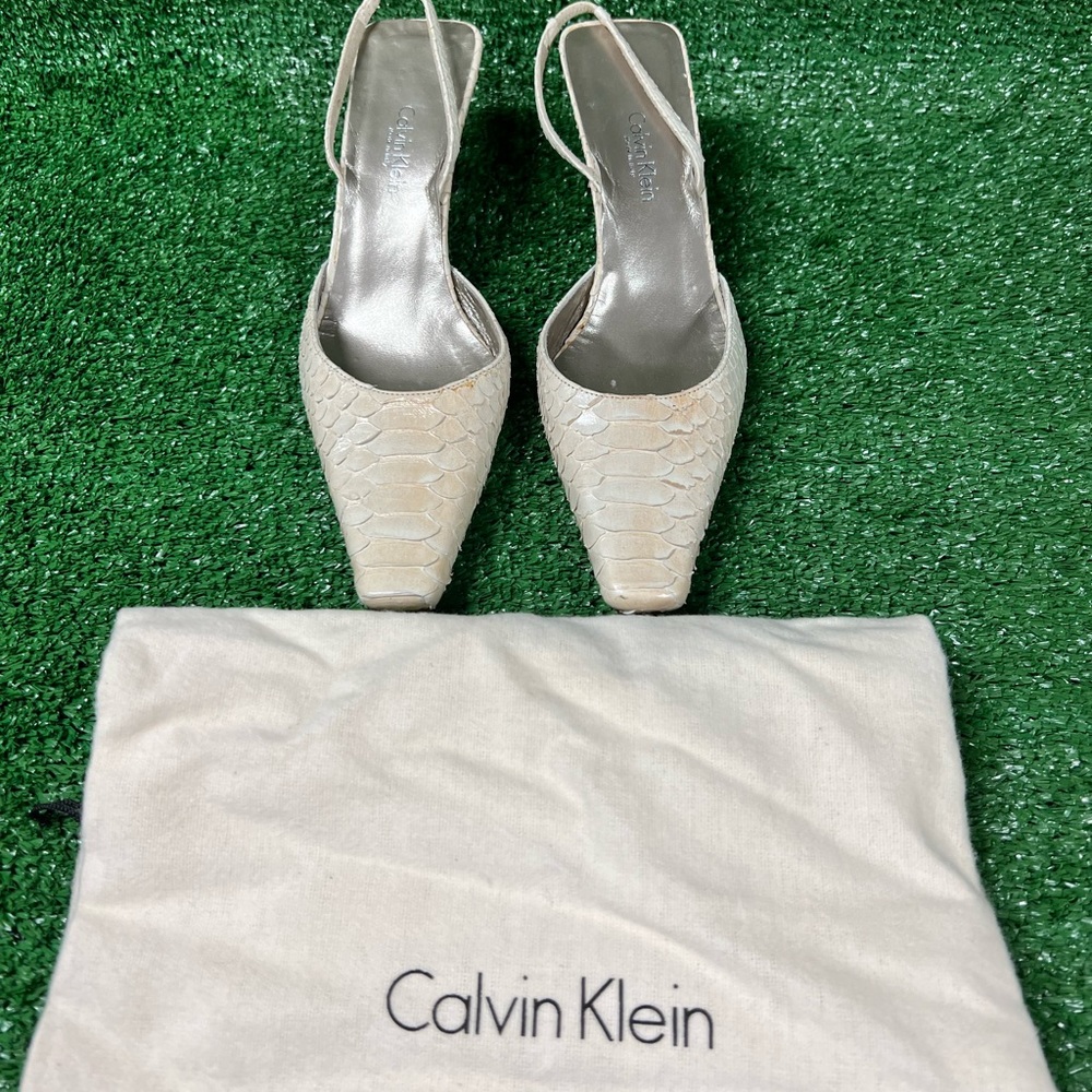 Calvin Klein python shoes